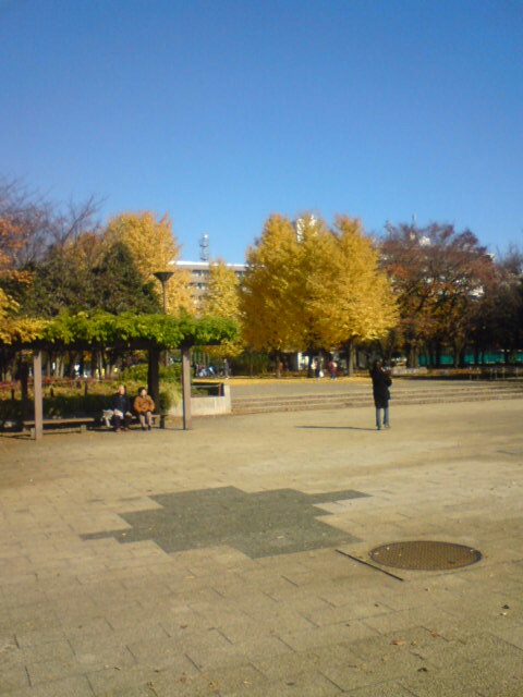 赤塚公園２