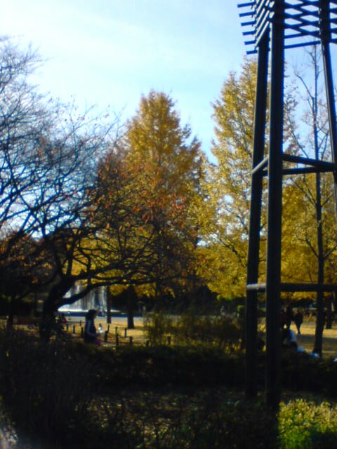 赤塚公園４